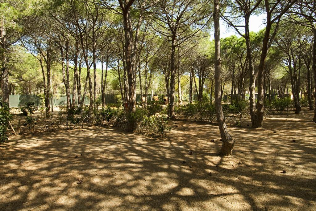 Villaggio Camping Spiaggia Del Riso Villasimius Dış mekan fotoğraf